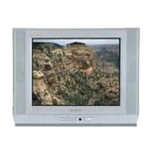 Замена корпуса Samsung CS-21K3Q