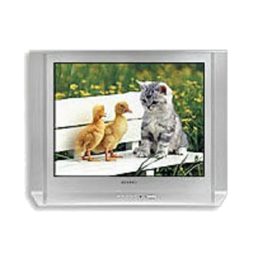 Замена корпуса Samsung CS-29 V10 MGR