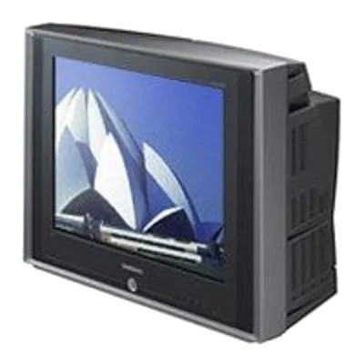 Замена корпуса Samsung CS-21M21ZQQ