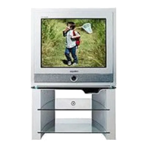 Замена корпуса Samsung CS-29Z6HPQ