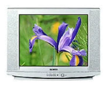 Замена корпуса Samsung CS-29U2 WTQR