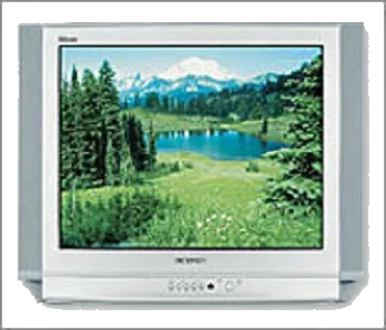 Замена корпуса Samsung CS-25D8 WTR